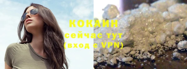 индика Белоозёрский