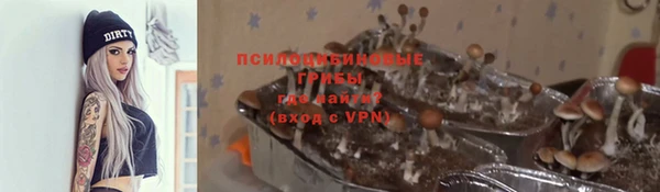 apvp Дмитровск