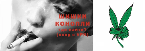 индика Белоозёрский