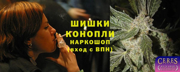 индика Белоозёрский