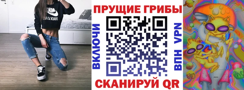 Псилоцибиновые грибы GOLDEN TEACHER Кириллов